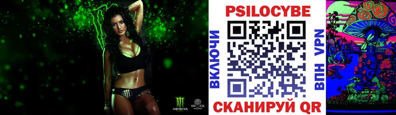 Псилоцибиновые грибы мицелий  Купить закладки  Туринск 
